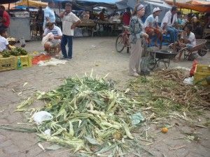 Venda de milho em Belo Jardim aquecida. Feirantes comercializam todo o produto em poucas horas