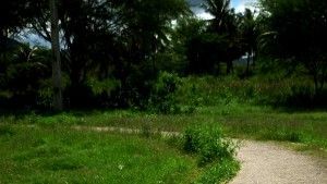 Abandono transforma Parque do Bambu em ponto de uso de drogas