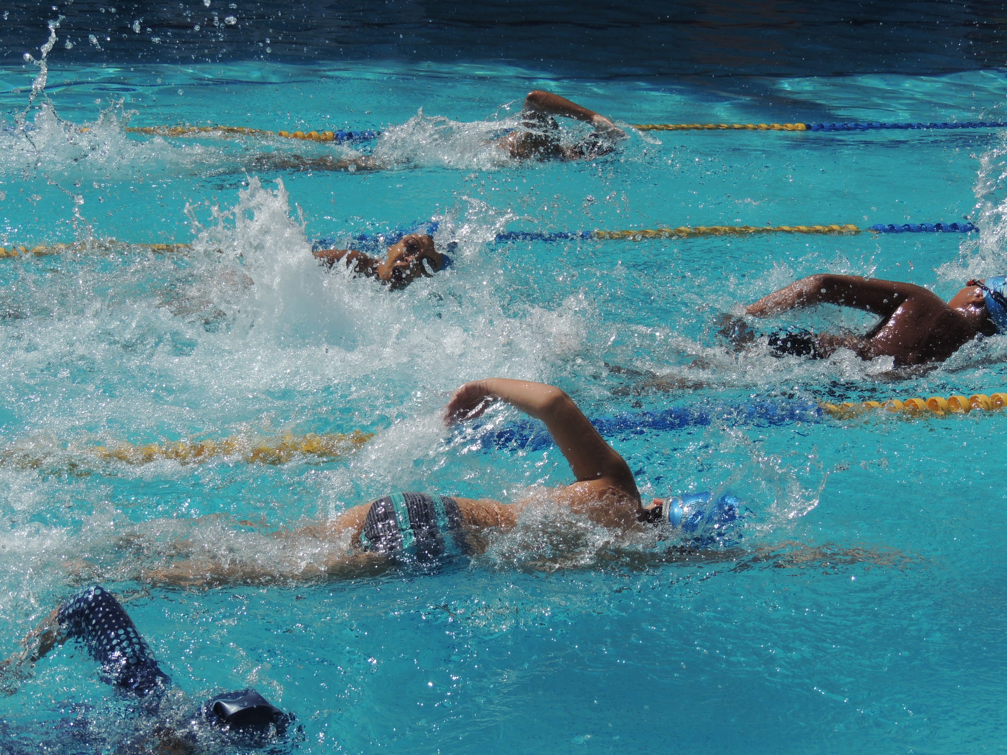 Sesc Ler Belo Jardim realiza torneio de natação