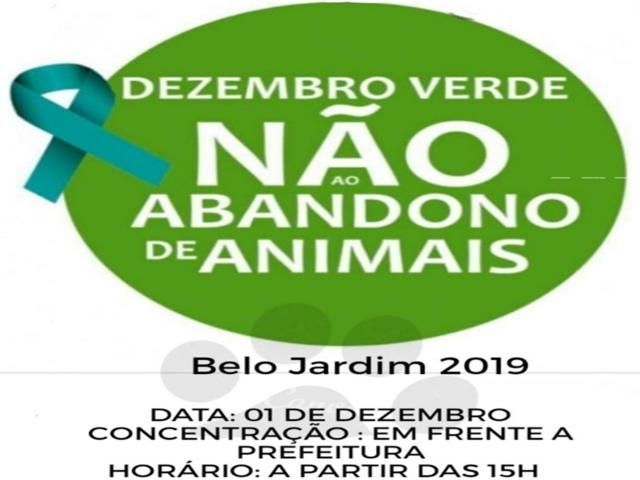 Caminhada promove ajuda para cães abandonados em Belo Jardim