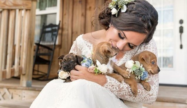 Ao invés de flores, noiva entra com ‘buquê de cães’ para adoção