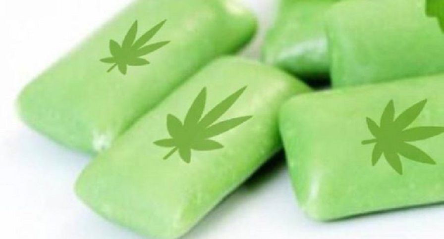 Chiclete de maconha para portadores de fibromialgia