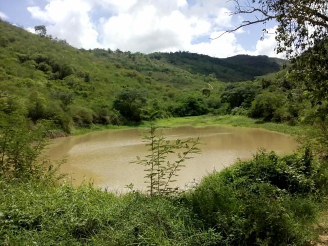 Xucuru comemora acúmulo de água na nascente