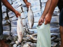 Prefeitura de Belo Jardim realiza recadastramento para recebimento de cestas básicas e peixe para a Semana Santa