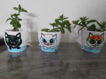 Laika Vitae vende vasos decorativos para arrecadar fundos em favor dos animais tutelados