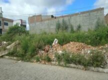 Moradora denuncia descarte de lixo e de animais mortos em terreno no bairro do Santo Antônio