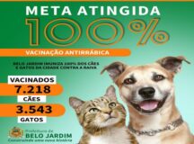 Belo Jardim está entre as quatro cidades do Agreste com 100% dos cães e gatos vacinados contra a raiva