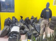 Suspeito de tráfico é preso com 290 kg de maconha em Arcoverde — Foto: PRF/Divulgação