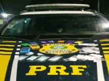 Droga apreendida em Garanhuns — Foto: Polícia Rodoviária Federal/Divulgação