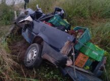 Motorista de caminhonete morre após colidir em cavalo na BR-423, em Garanhuns — Foto: WhatsApp/Reprodução