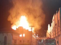 Incêndio foi registrado em Pesqueira — Foto: Divulgação