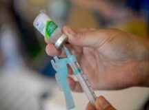 Pernambuco recebe 948 mil doses de vacina contra a gripe e antecipa campanha de imunização